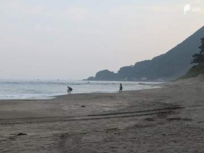 「姿が見えない」海開き前の海岸で遊泳していた70代の男性が意識不明＝静岡・河津町