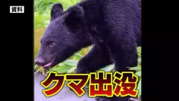 体長約1メートルのツキノワグマに襲われる 森林調査中の40代男性が軽傷＝浜松市天竜区