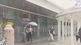 「久しぶりにまとまった雨 22日明け方にかけ雷を伴った激しい雨も 気象台が注意・警戒呼びかけ＝静岡」の画像1