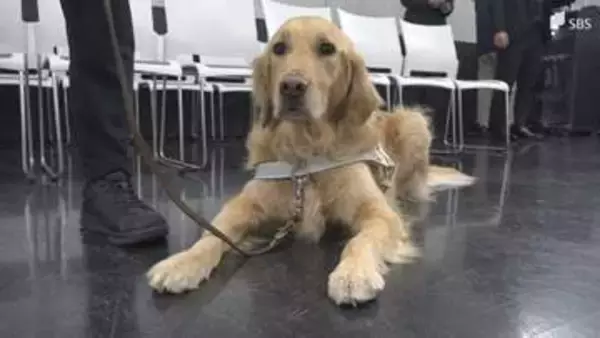 盲導犬の育成拠点「富士ハーネス」に自動車販売会社が募金と支援金を贈呈=静岡