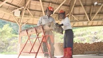 「足場の悪いところでやっているからすごい」キャンプ場で林業体験 チェーンソーでの伐採やツリークライミングに挑戦＝静岡・富士市