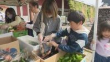 【GWイベント】県内各地で賑わい 物価高で「安・近・短」に注目 野菜詰め放題や“無料”体験が人気=静岡