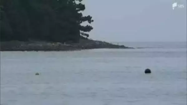スキューバダイビング中の25歳女性が死亡 沖合の水深20メートルで発見＝静岡・沼津市
