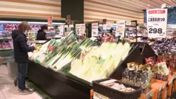 「消費税減税」各党の訴えは？スーパーは作業負担、飲食店は“外食離れ”懸念＝静岡【衆院選選挙2026】