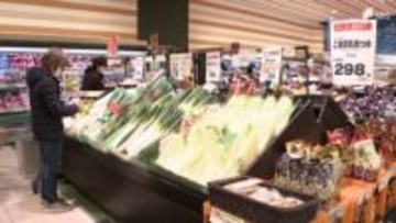 「消費税減税」各党の訴えは？スーパーは作業負担、飲食店は“外食離れ”懸念＝静岡【衆院選選挙2026】