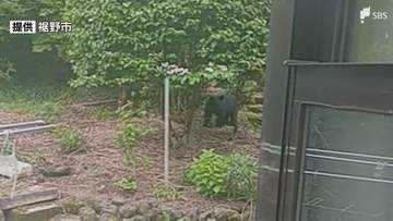 クマ目撃情報相次ぐ 24日夕方には民家の裏手の山で 市が鈴やラジオを携帯するよう呼びかけ＝静岡・裾野市
