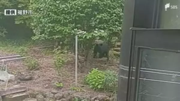 クマ目撃情報相次ぐ 24日夕方には民家の裏手の山で 市が鈴やラジオを携帯するよう呼びかけ＝静岡・裾野市