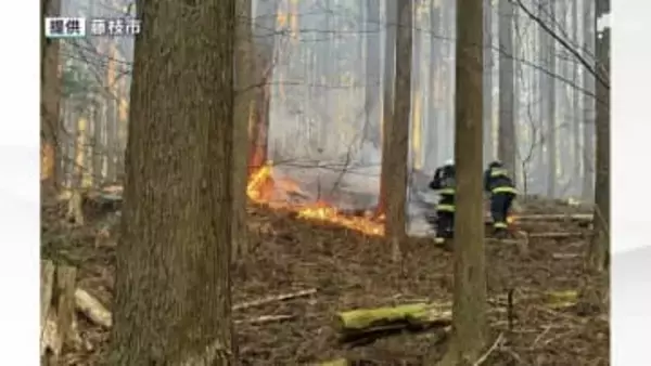 静岡・藤枝市の山林火災が鎮火 発生から10日目 けが人なし