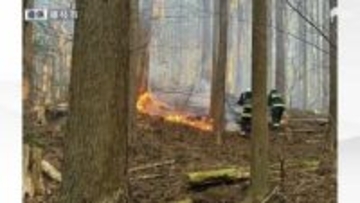 静岡・藤枝市の山林火災が鎮火 発生から10日目 けが人なし