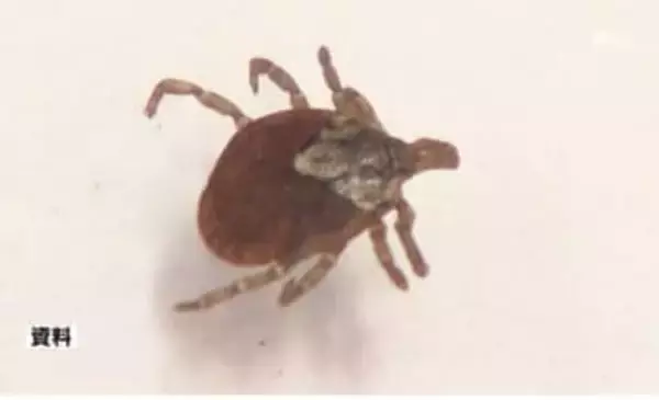 マダニ媒介の感染症患者、新たに4人確認 年間患者数すでに過去最多を上回り、県が注意呼びかけ＝静岡