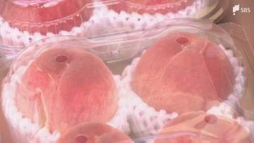 「長田の桃」「用宗のところてん」⋯静岡市駿河区の旬の食材一堂に「駿河区旬穫祭」にぎわう＝静岡市・葵スクエア