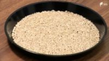 「上と下の差が困りもの」猛暑やカメムシ被害で評価分かれる 2025年産米の品評会 =静岡市