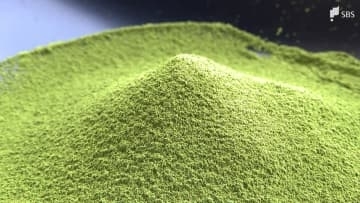 「まさに抹茶バブル」静岡茶の救世主になるか？ 生産量2位転落も“世界的なブーム”に活路 【どうなる2026】⑤