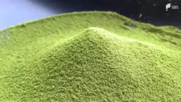 「まさに抹茶バブル」静岡茶の救世主になるか？ 生産量2位転落も“世界的なブーム”に活路 【どうなる2026】⑤