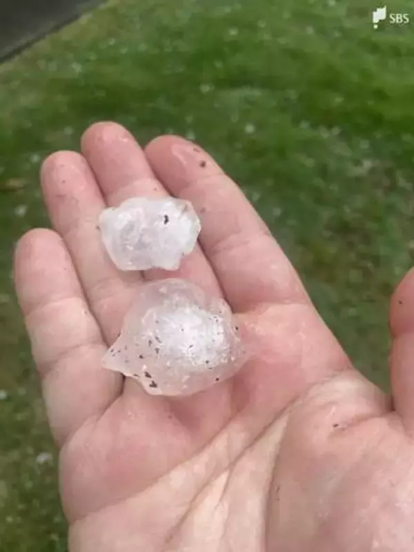 静岡市でひょうが降る今夜は局地的に雷を伴った激しい雨に注意＝静岡市駿河区