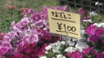 緑や花のある街づくりを「緑と花の百科展」多くの来場者でにぎわう＝静岡・富士市