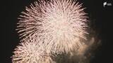 「「時代の流れなんですかね」観光のまちで"最後の花火大会" 背景に資金不足のジレンマ 50回目で歴史に幕＝静岡・河津町」の画像1