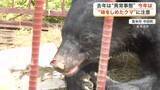 「冬眠から目覚め始めるクマ　すでに目撃件数は前年同時期の３倍に　人里の味を覚えた個体への注意が必要」の画像1