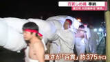 「重さ３７５キロ「百貫しめ縄」担ぎ練り歩く　蔵王町で小正月の伝統行事「暁祭」 無病息災を祈願〈宮城〉」の画像1