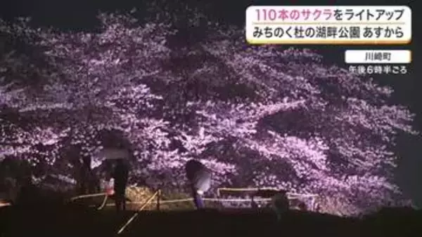 幻想的な夜桜！川崎町「国営みちのく杜の湖畔公園」で満開の桜のライトアップが１１日からスタート〈宮城〉