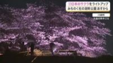 幻想的な夜桜！川崎町「国営みちのく杜の湖畔公園」で満開の桜のライトアップが１１日からスタート〈宮城〉