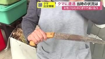 クマと遭遇した女性が恐怖語る　「今こうやって無事でいるのが不思議」　追い払おうとして転倒し重傷　宮城