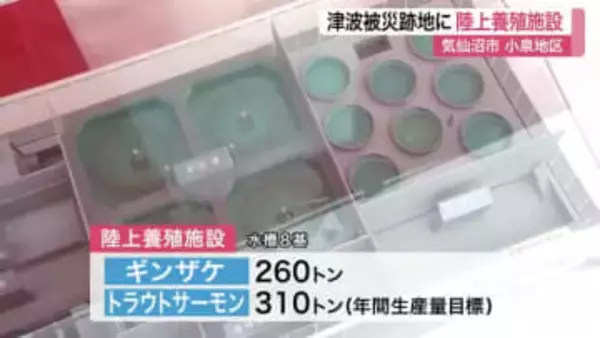 ギンザケ・トラウトサーモン養殖へ　被災地に「陸上養殖施設」建設　「養殖通じ地域復興を」　宮城・気仙沼