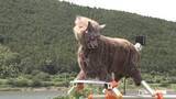 「河川敷はクマの移動経路…作業員を被害から守る対策講習会を実施　オオカミ型撃退装置も紹介〈宮城〉」の画像1