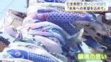 「約５００匹の「青いこいのぼり」が空を舞う　東日本大震災で亡くなった当時５歳の弟への鎮魂の思い〈宮城〉」の画像1