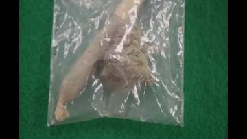 【速報】大麻所持の疑いで仙台市の男子中学生（１５）逮捕　〈東北厚生局麻薬取締部・宮城県警〉