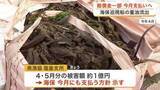 「巡視船から重油流出で被害６億円超に　海保が６月中に賠償金支払い　 塩釜市など漁業者の生活救済へ〈宮城」の画像1