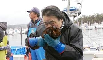 被害総額は3億円超か　巡視船「ざおう」から最大1万5000リットルの重油が流出　「憤り、悲しい気持ちでいっぱい」