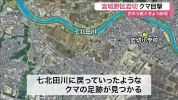 宮城野区岩切の住宅地でクマ目撃相次ぐ　小学校近くで警戒　七北田川付近で川に戻る足跡も発見〈仙台市〉