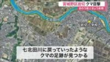 宮城野区岩切の住宅地でクマ目撃相次ぐ　小学校近くで警戒　七北田川付近で川に戻る足跡も発見〈仙台市〉