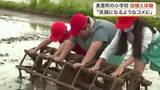 「美里町の小学校で恒例の田植え体験　５年生８０人が泥だらけになりながら「つや姫」の苗を植える〈宮城〉」の画像1