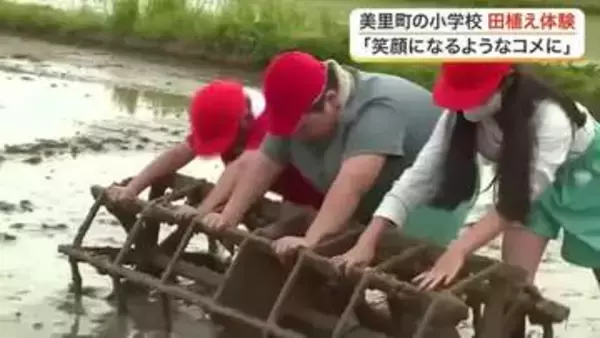 美里町の小学校で恒例の田植え体験　５年生８０人が泥だらけになりながら「つや姫」の苗を植える〈宮城〉