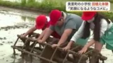 美里町の小学校で恒例の田植え体験　５年生８０人が泥だらけになりながら「つや姫」の苗を植える〈宮城〉