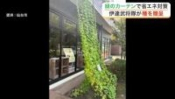夏の日差しを遮り室温５度低下も　泉区の小学校で「緑のカーテン」を学ぶ特別授業を開催〈仙台市〉