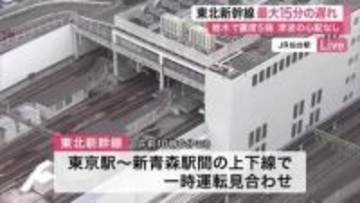 栃木県の地震で東北新幹線に影響　上下線で一時ストップ　全線で運転再開も一部に遅延〈宮城〉