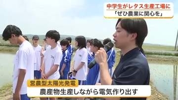 「私の知ってる農業と違う」　舞台ファームの国内最大級レタス工場と営農型太陽光発電を中学生見学