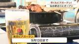 「ゴールデンウィークを前に早くもビアガーデンがオープン！　仙台駅近くで屋根付きの約１６０席」の画像1