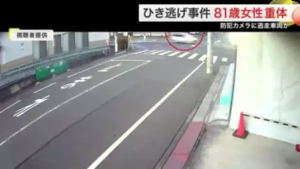 「急加速で逃げていった」防犯カメラに逃走車両か　若林区で８１歳女性はねられ重体　ひき逃げで捜査〈仙台