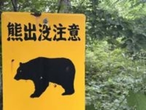 【速報】大崎市の民家敷地にクマ出没　柿の木に登り“実を食べる”姿を住人が通報〈宮城〉