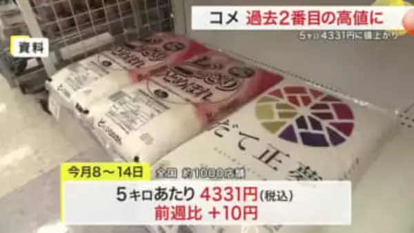 コメの平均価格 ５キロあたり４３３１円に　２週ぶり値上がり　政府はおこめ券推奨も自治体では見送る動き