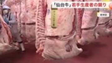 若手生産者による黒毛和牛の競り　チャンピオン牛はキロ２７１６円　仙台牛のブランド力向上へ〈宮城〉