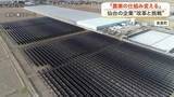 「農業の仕組みを変える　仙台の農業法人の挑戦　田んぼの上の太陽光パネルで自社生産工場の電気をまかなう」の画像1
