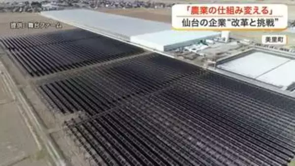 農業の仕組みを変える　仙台の農業法人の挑戦　田んぼの上の太陽光パネルで自社生産工場の電気をまかなう