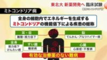 臓器に障害「ミトコンドリア病」　東北大が新薬開発へ１２月から臨床試験開始　難聴や認知症への応用に期待