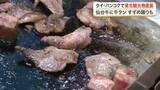 「「ジューシーでとてもおいしい！」タイ・バンコクで仙台・東北観光物産展　仙台牛に牛タン、すずめ踊りも」の画像1