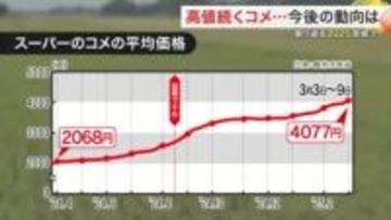 価格高騰が続くコメ　日本人の主食を守り、持続させるためには？　専門家は値下がりの可能性を指摘〈宮城〉